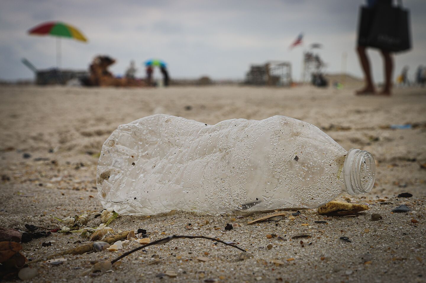 (Foto: Brian Yurasits/unsplash) leere Plastikflasche am Strand