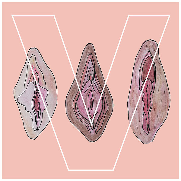 Die Zeichnung von drei unterschiedliche Vulven, über denen der Buchstabe "V" zu sehen ist.