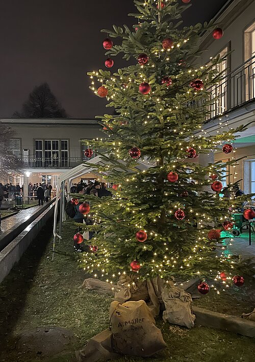 Weihnachtsmarkt TR 2023 großer Weinachtsbaum auf abendlichem Gelände