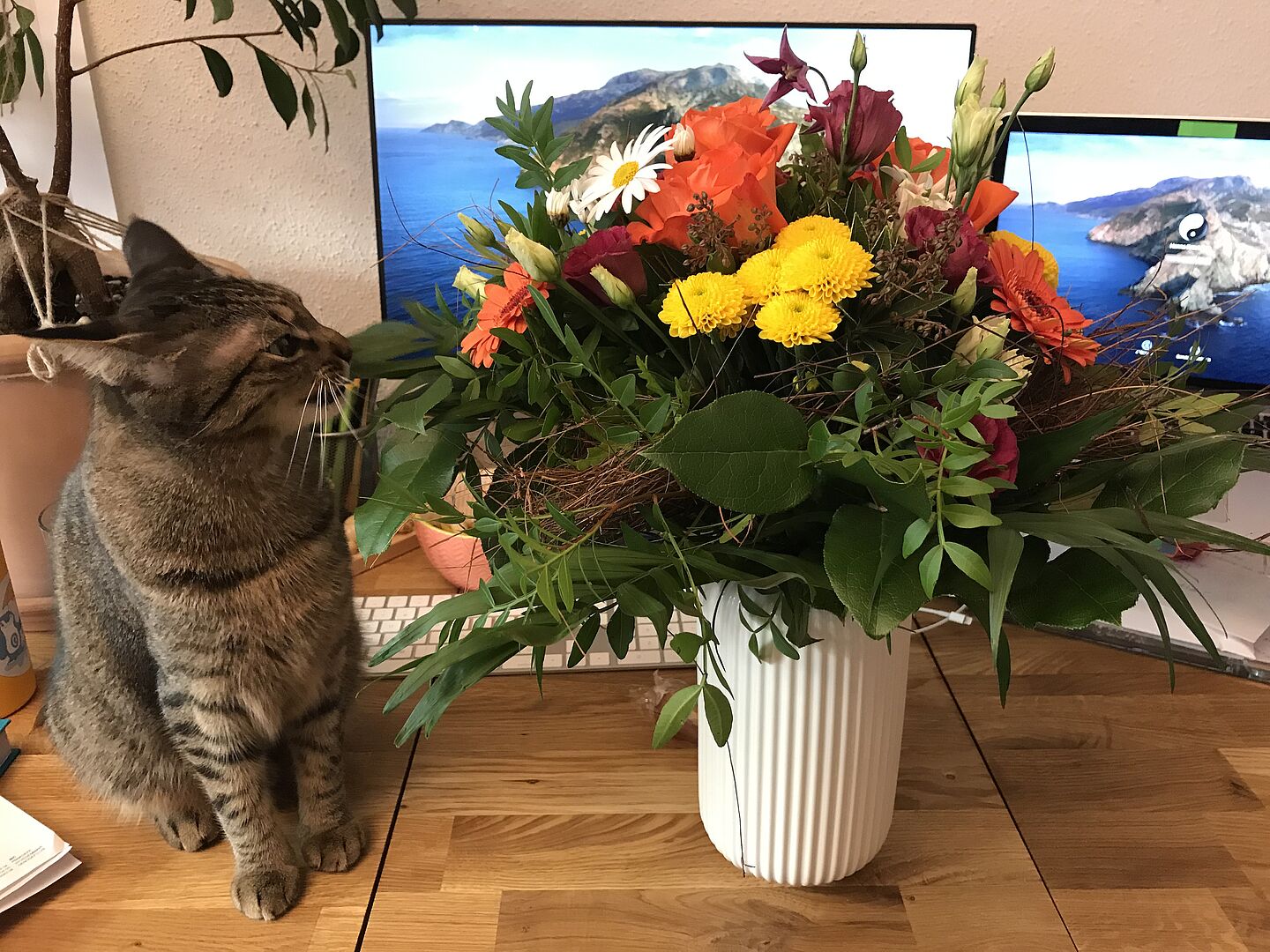 Auch der Mitbewohnerin gefällt der Strauß. (Foto: privat) Katze auf Tisch mit Blumenstrauß