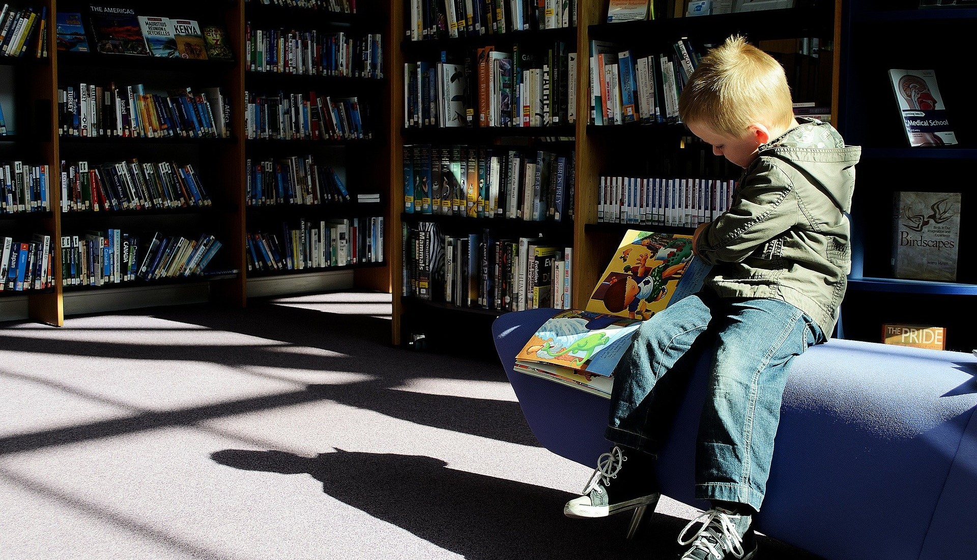 Ein Kind sitzt in einer Bibliothek auf einem blauen Sofa und schaut sich ein Buch an.
